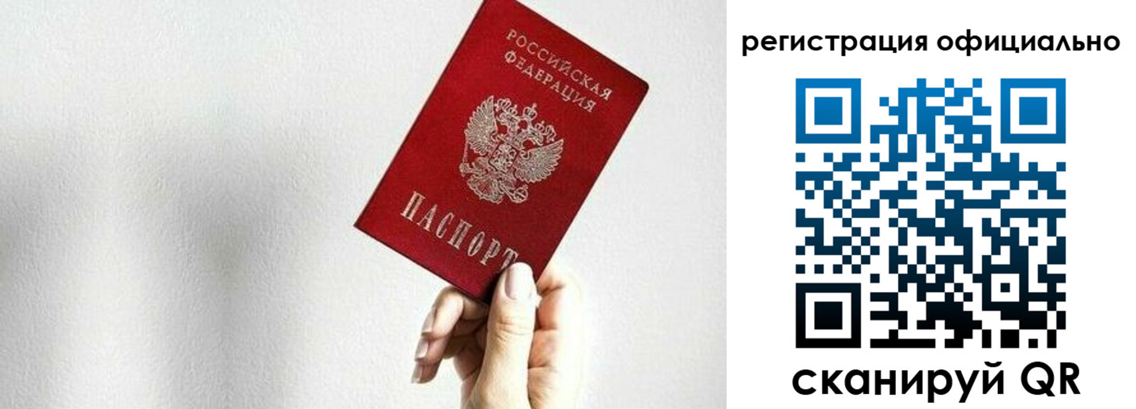 прописка поиск в Кольчугино